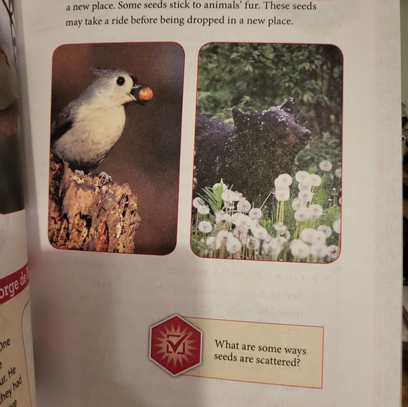 BJU Press Science Grade 2 Forth Edition Student Text - Picture 2 of 4